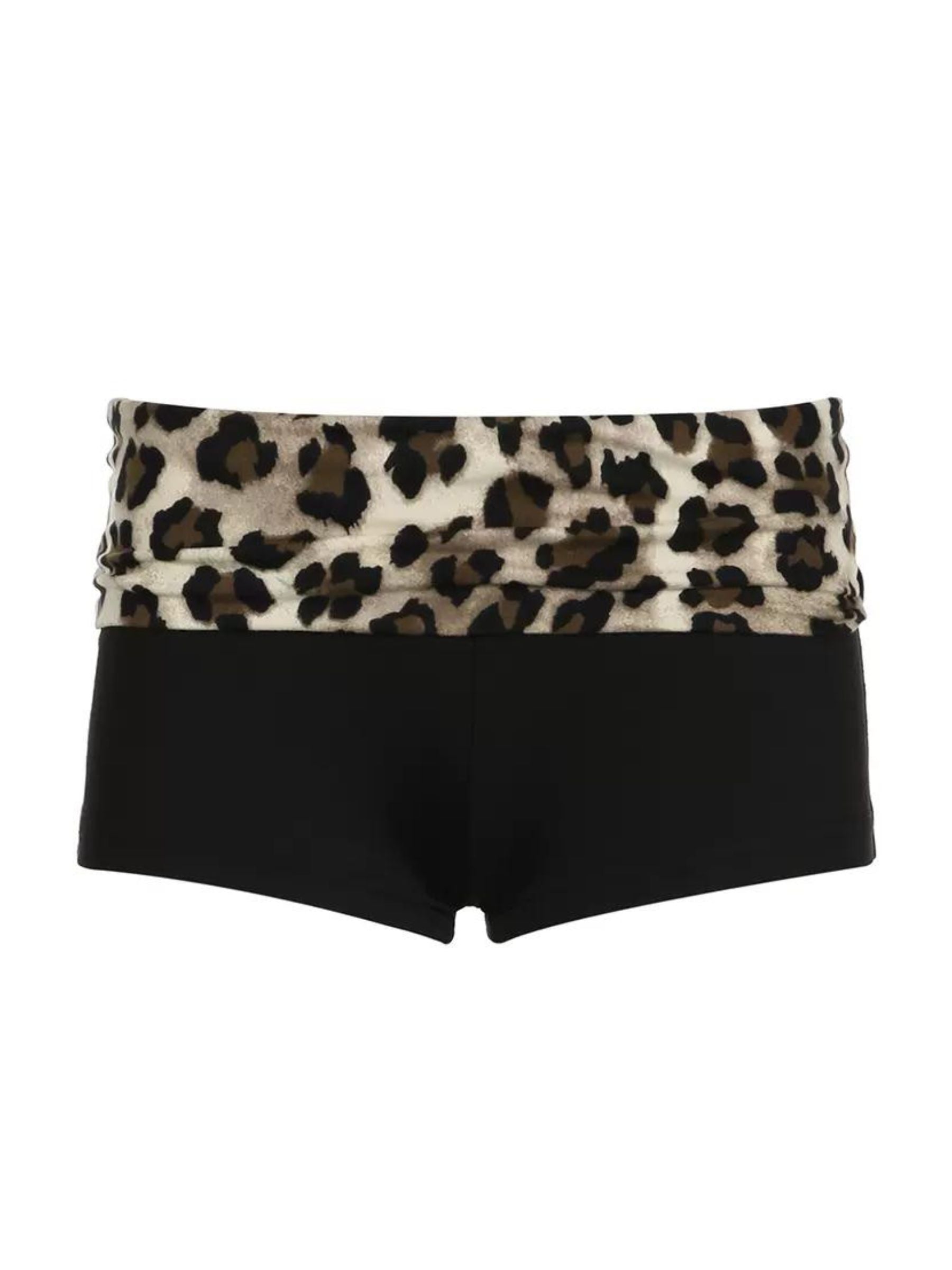 Leopard Print Low Waist Short & Top