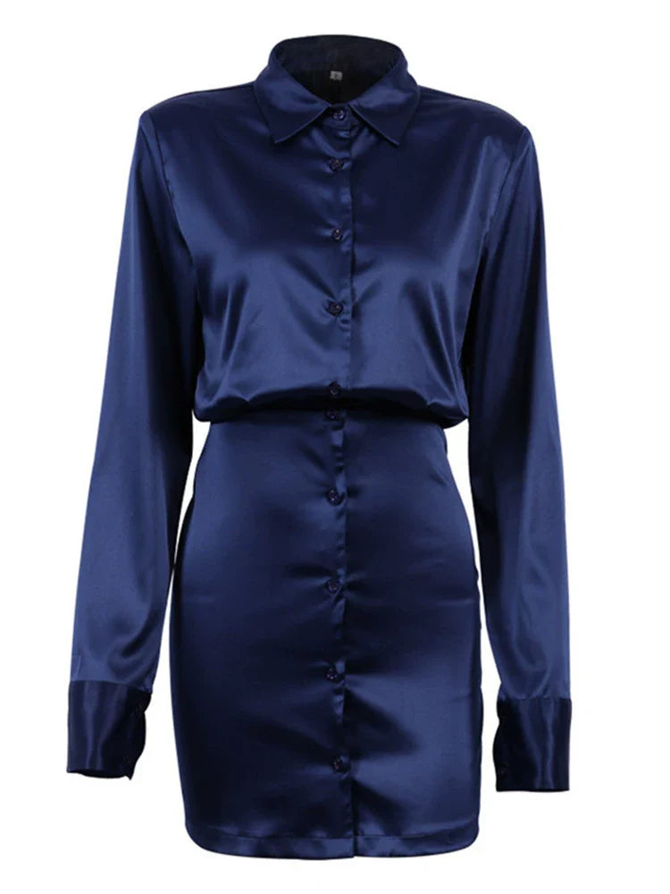 Nether Long Sleeve Shirt Dress