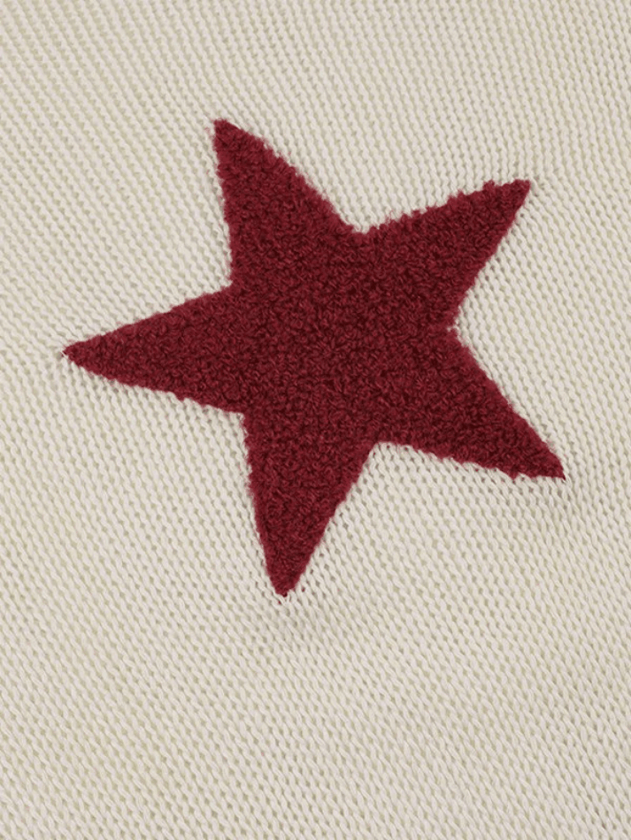 Star Crochet Knit Cropped Knit Top