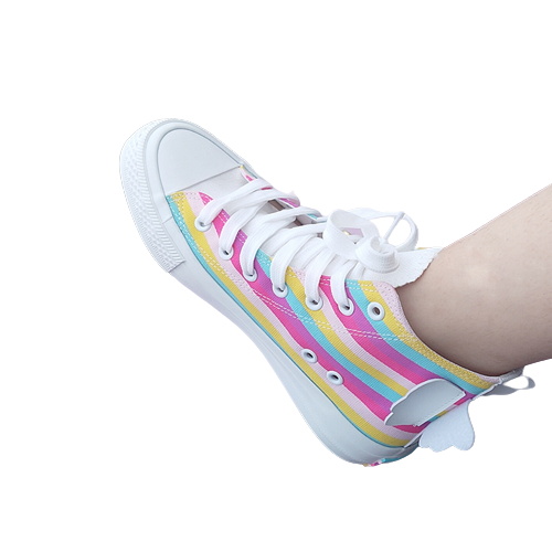 Butterfly Wing Rainbow Canvas Shoes