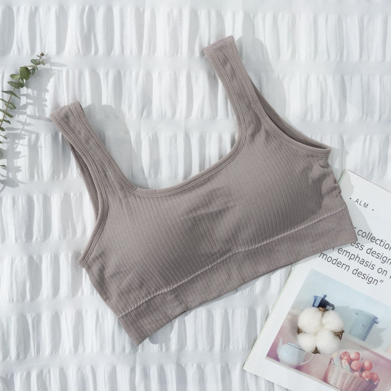 Seamless Underwear Crop Top