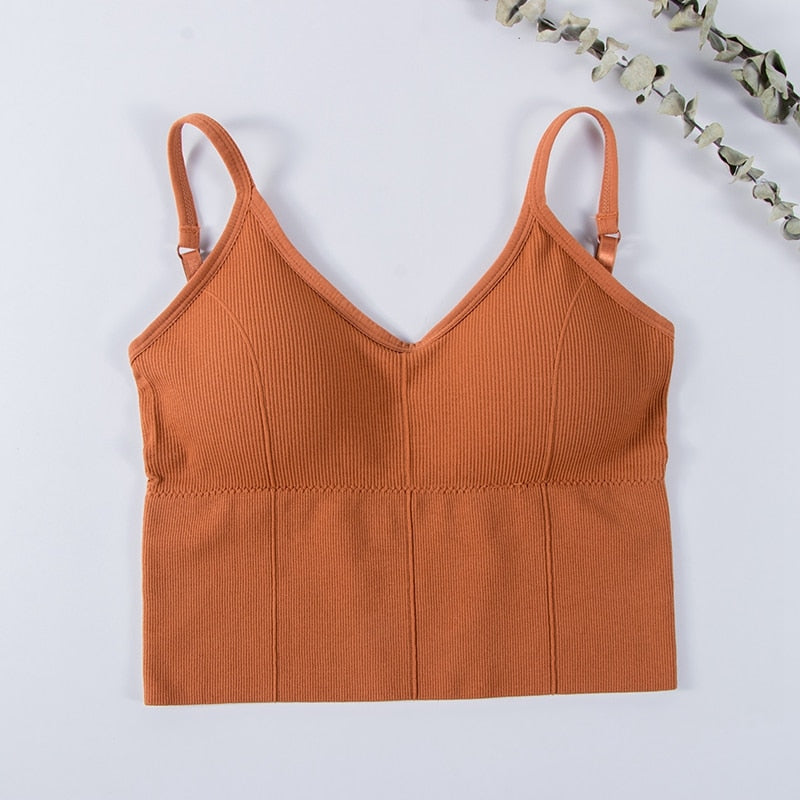 Seamless Underwear Crop Top