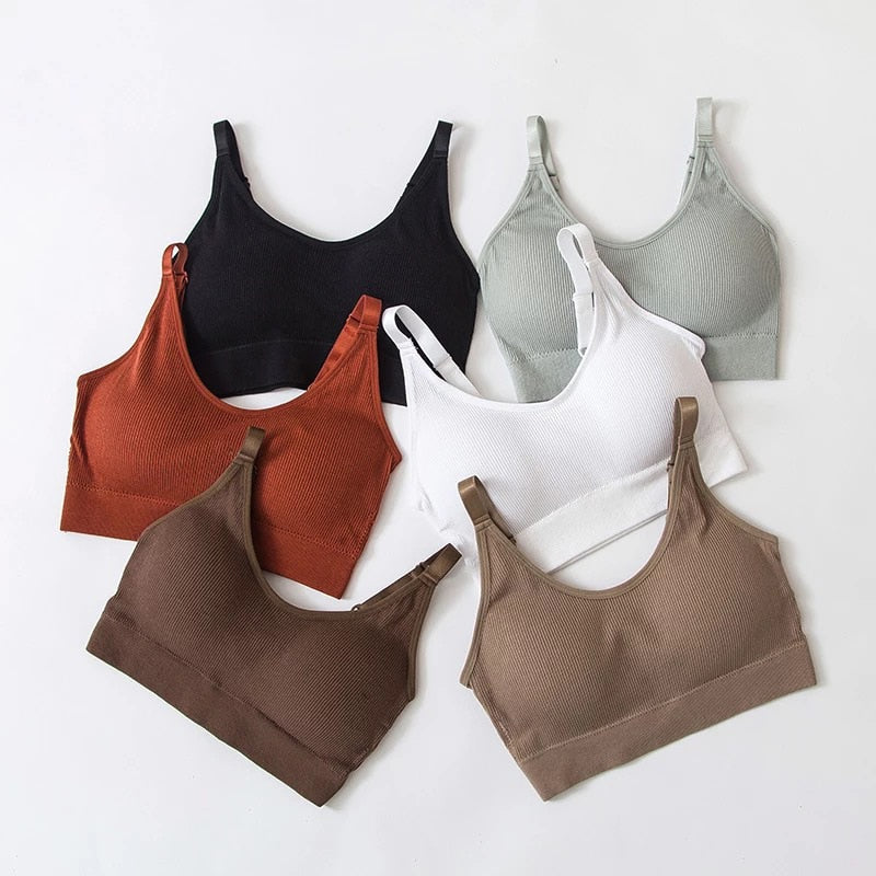 Seamless Underwear Crop Top