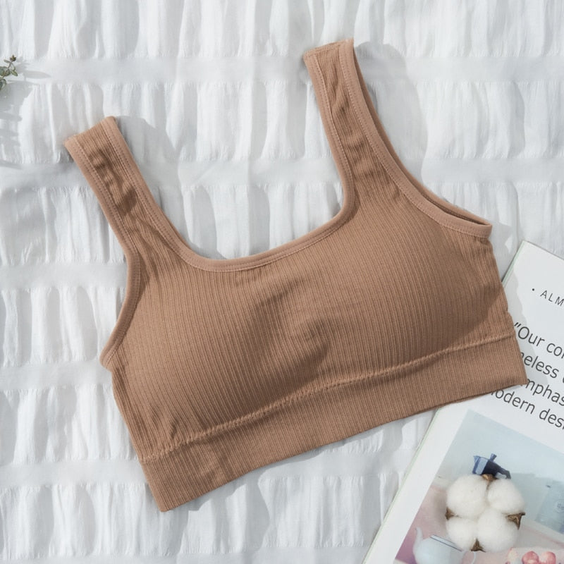 Seamless Underwear Crop Top