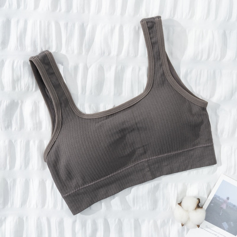 Seamless Underwear Crop Top