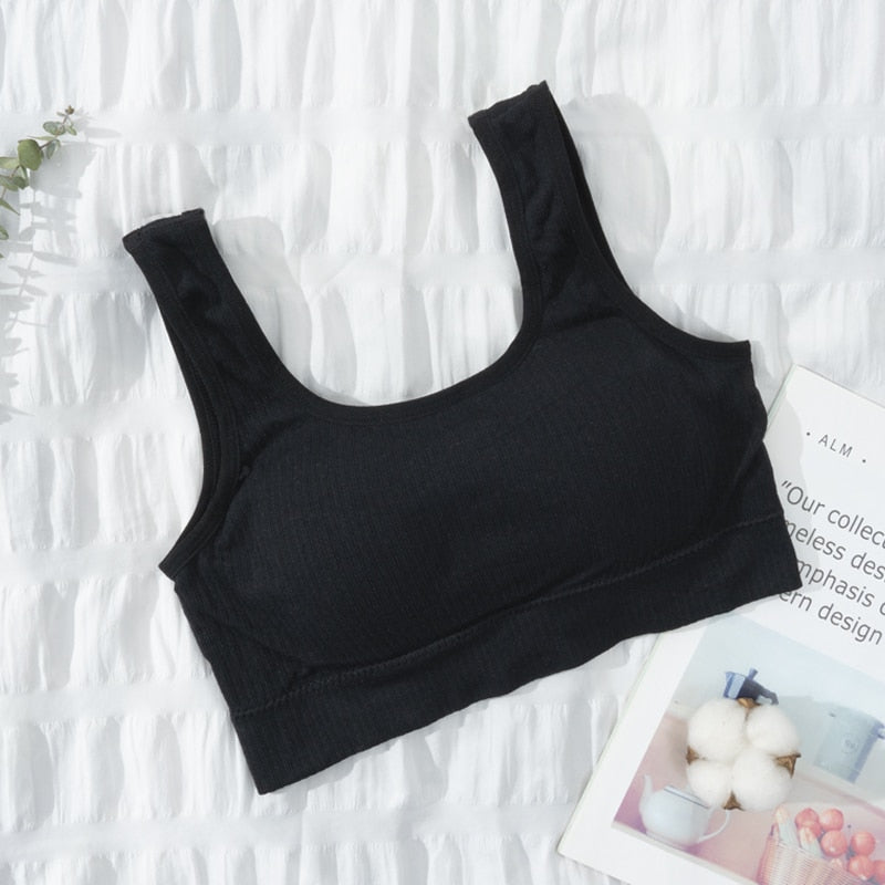 Seamless Underwear Crop Top