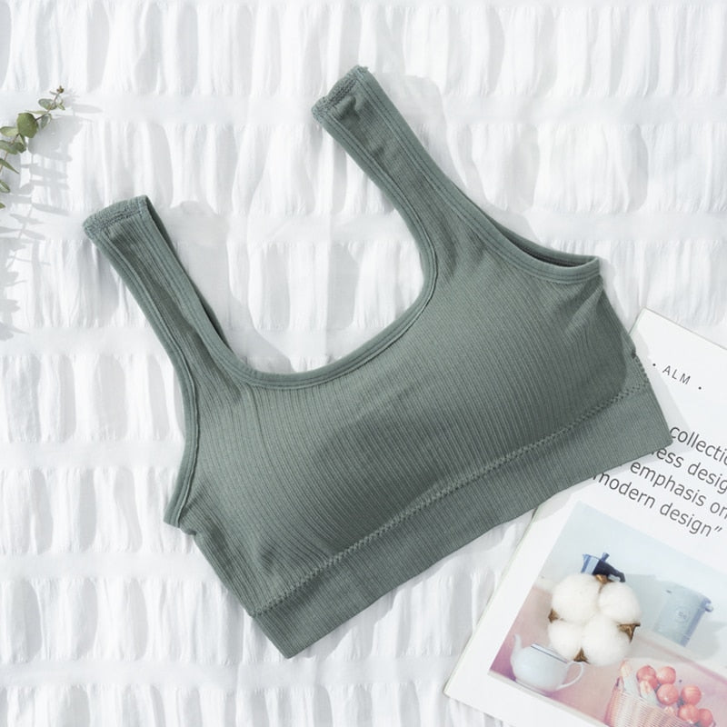 Seamless Underwear Crop Top