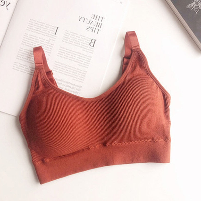 Seamless Underwear Crop Top