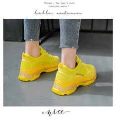 Aesthetic Colorful Mesh Shoes