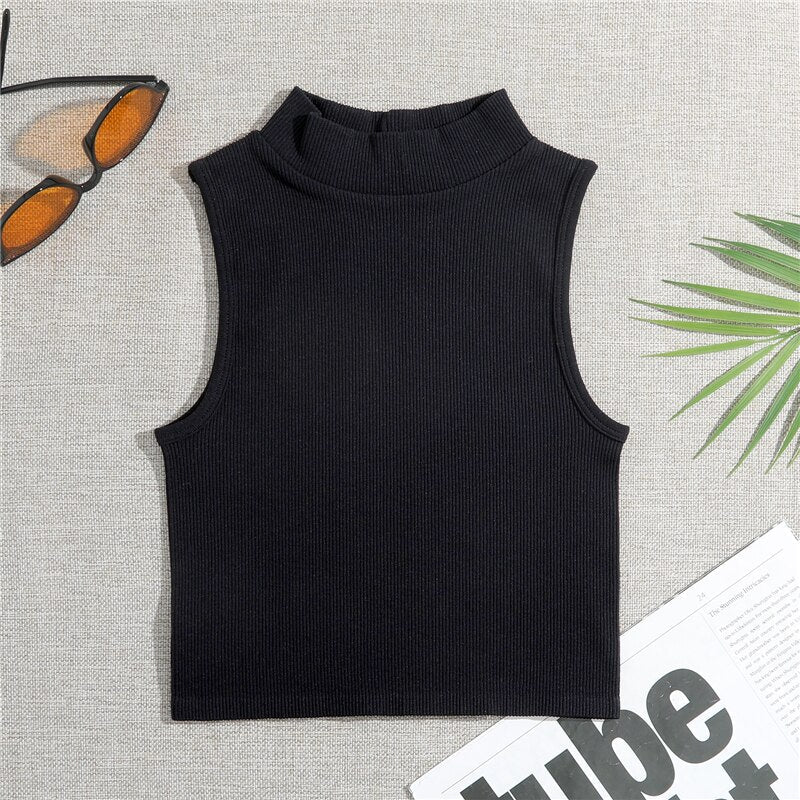 Sleeveless High Neck Crop Top