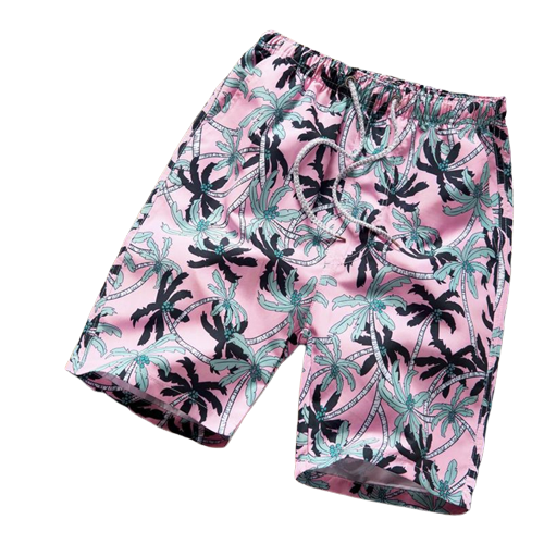 Aesthetic Palm Tree Beach Shorts
